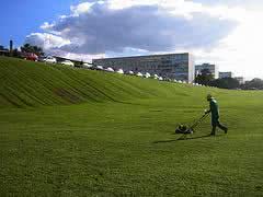 manutenção do gramado