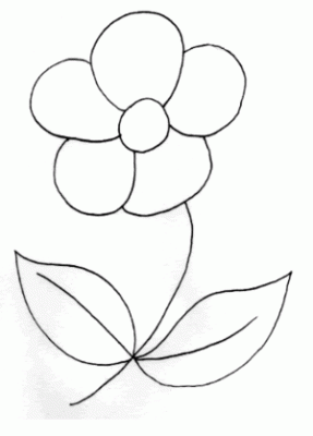 flor-jacarelado