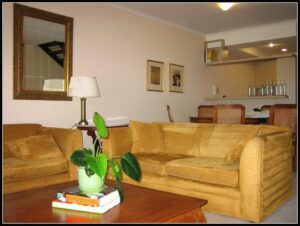 Plantas em vasos – vento e substrato como controlar!