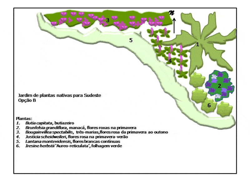 Projeto de jardim sustentável  desenho B sudeste
