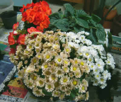 arranjo de flores em vaso terminado