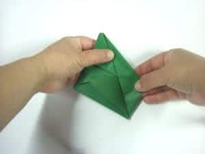 origami sapo