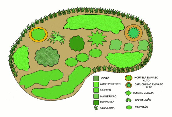 canteiro de hortaliças