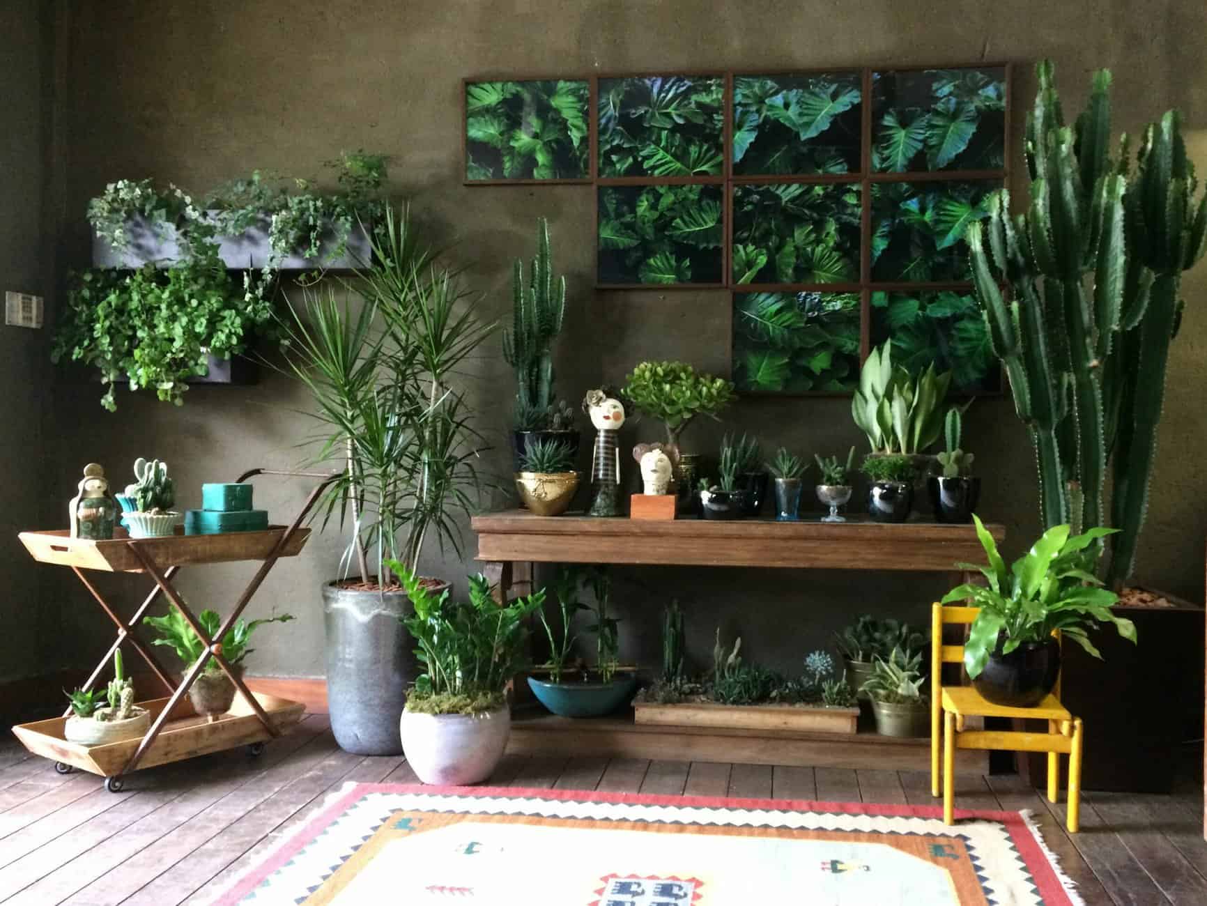 Como organizar seu cantinho verde para plantas mais felizes